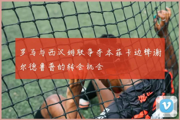 罗马与西汉姆联争夺本菲卡边锋谢尔德鲁普的转会机会
