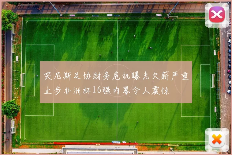 突尼斯足协财务危机曝光欠薪严重止步非洲杯16强内幕令人震惊