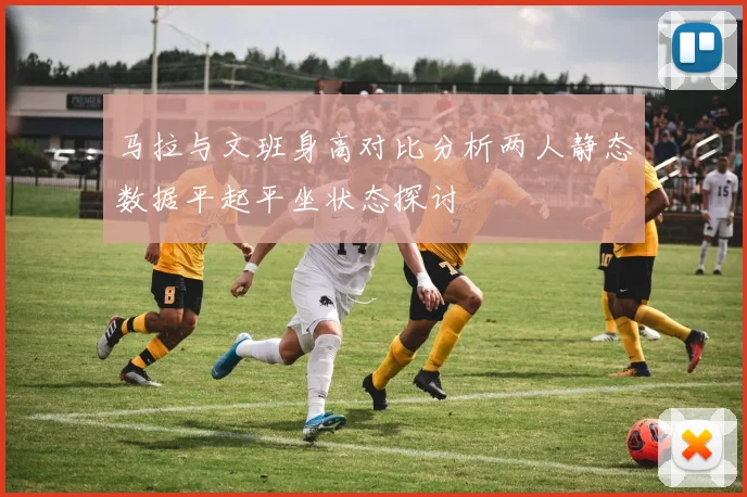 马拉与文班身高对比分析两人静态数据平起平坐状态探讨