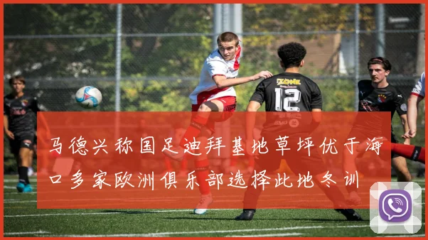 马德兴称国足迪拜基地草坪优于海口多家欧洲俱乐部选择此地冬训